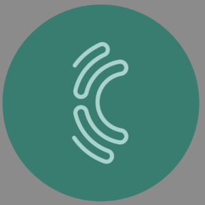 Sponsored by Cognota